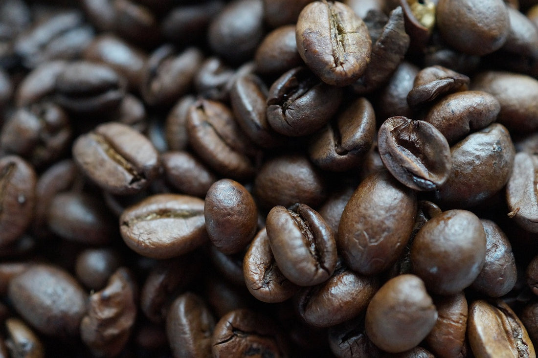 Arábica vs. Robusta: Entendiendo las Diferencias y la Superioridad del Café Arábica